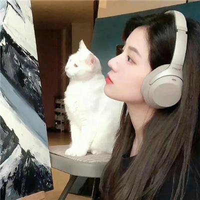 《闪光的羽毛》封面