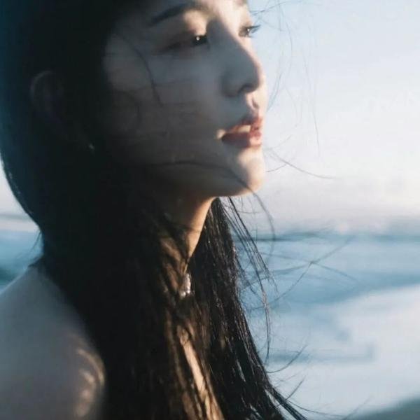 《锁龙井》封面
